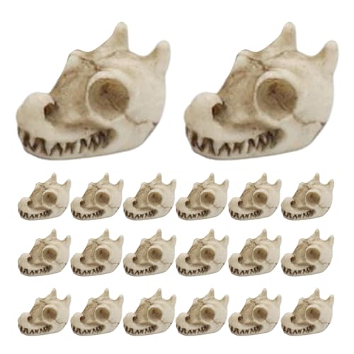 Biniveil Dekosteine Für Vasen | Schädel Design Vase Steine - 20-teiliges Resin-Ästhetik-Zubehör und Dekoration für Landschaftsgestaltung, Handwerk, Outdoor, Aquarium und Garten von Biniveil