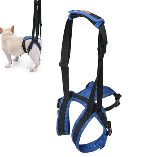 Biniveil Dog Lift Support Harness - Stütz- und Reha-Geschirr für schwache Hinterbeine - Verstellbares älteres Behindertes Tier Hüftheben, Spazierhilfe zum Stehen, Gehen oder zur Toilette gehen von Biniveil