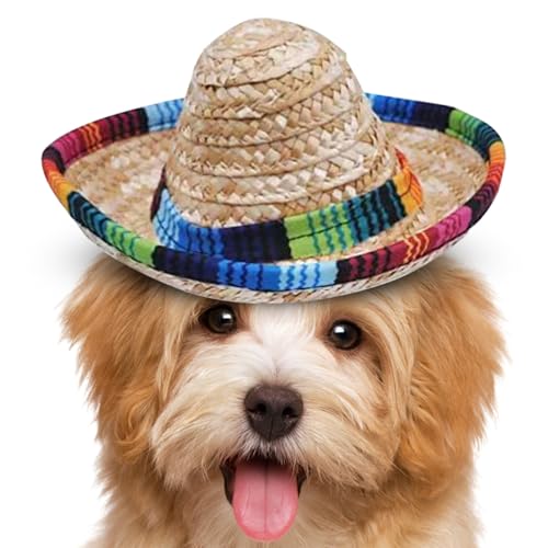 Biniveil Mexikanische Sombrero Hüte - Kleine Gewebte Sombrero Hüte | Kostümdekoration Mit Breiter Krempe Für Geburtstage Kinder Haustierfeste Outdoor von Biniveil