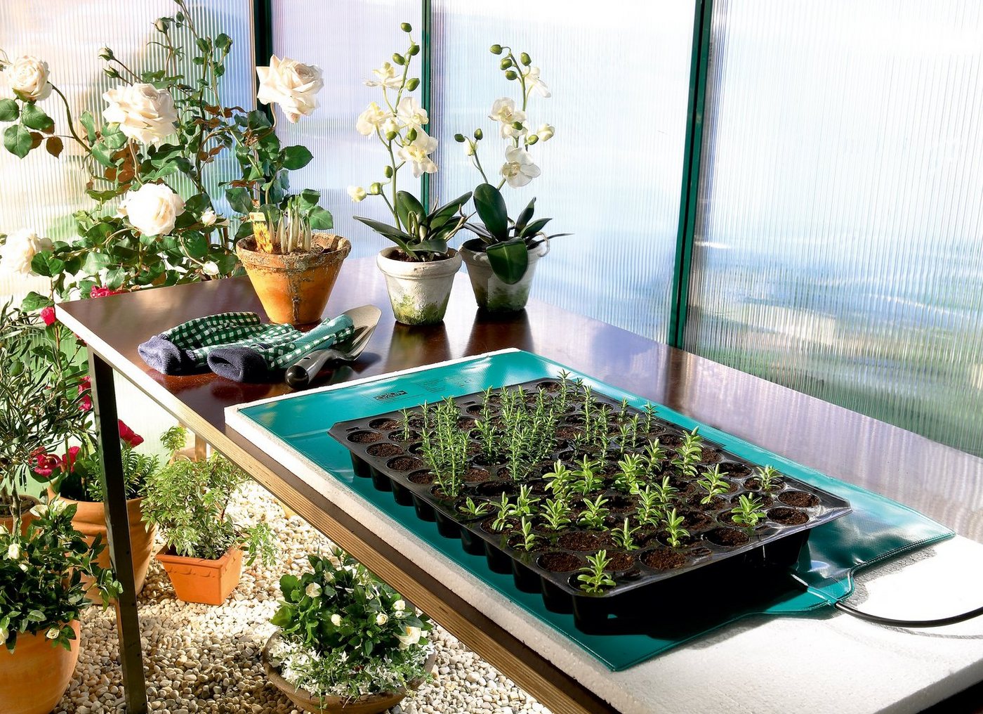 Bio Green Anzuchttopf Wärmematte für Pflanzen, Erhöhung der Bodentemperatur, zur Anzucht von Jungpflanzen von Bio Green