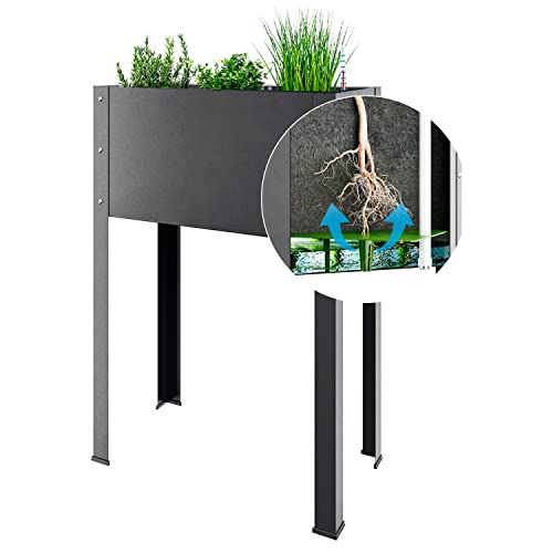 Bio Green Metall-Hochbeet City Jungle Heidelberg für Innen und Außen | Bewässerungssystem und Rankgitter integriert | Pflanzkübel für Gemüse, Kräuter und Blumen | B 62 x T 32 x H 160 cm von Bio Green
