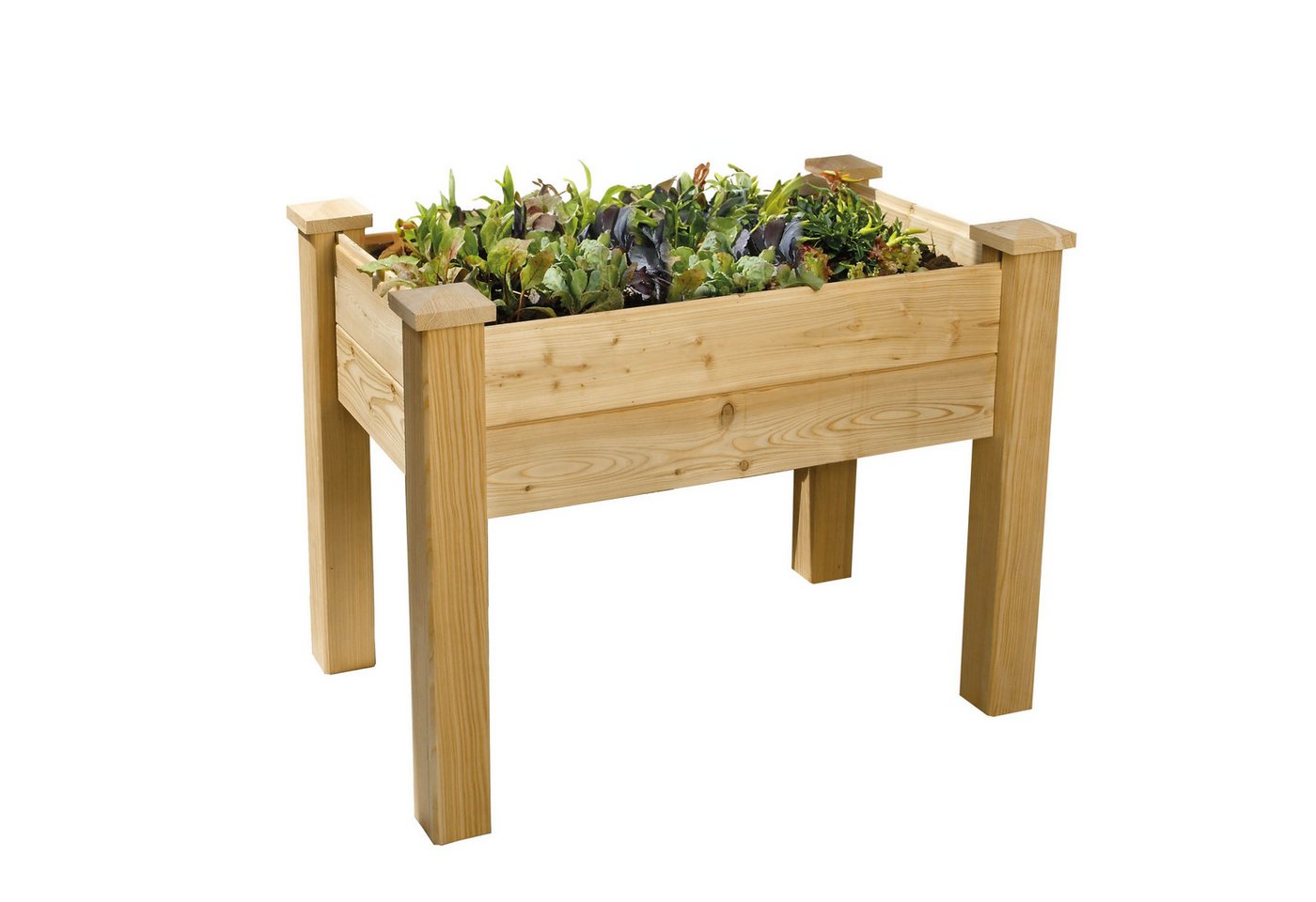 Bio Green Hochbeet Hochbeet Windsor aus Lärchenholz für Balkon L 100 x B 60 x H 75 cm von Bio Green