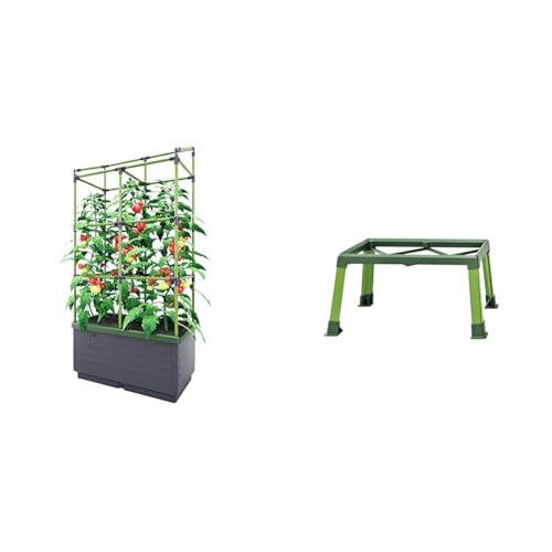 Bio Green JGL-T, City Jungle, Der kleine Garten für Balkon und Terrasse & City Jungle Standfuß von Bio Green