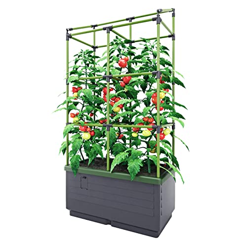 Bio Green Pflanzkübel CITYJUNGLE | Hochbeet für Balkon und Terrasse | Wasserspeicher und Rankhilfe integriert | Blumenkasten für Gemüse und Kräuter | 62 x 33 x 128 cm von Bio Green