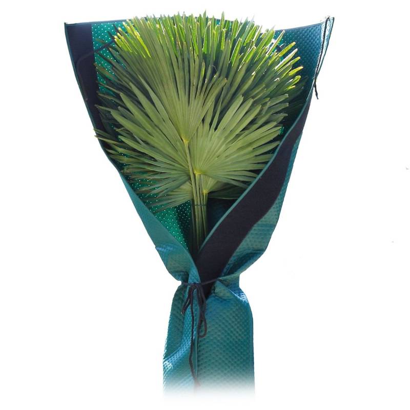 Bio Green Palmenschutz Höhe 150 cm Stamm Ø bis 35 cm von Bio Green