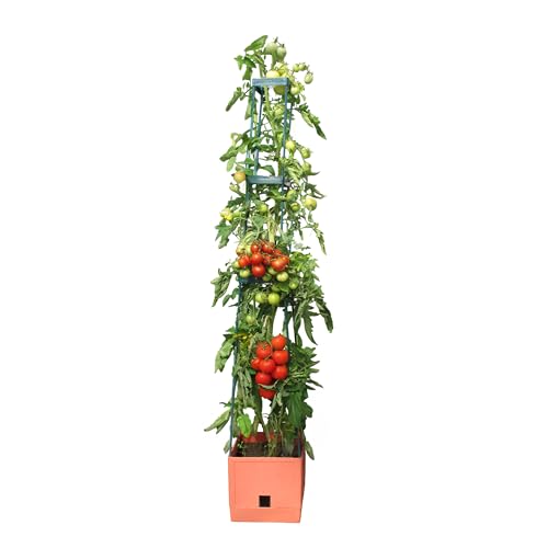 BioGreen Pflanzen-Aufzucht-Turm „Maxitom“ mit Rankhilfe und 2 Liter Wasserspeicher | 16 Liter Fassungsvermögen | 150 cm Höhe | Farbe: terracotta BioGreen Pflanzen-Aufzucht-Turm „Maxitom“ mit Rankhilfe und 2 Liter Wasserspeicher | 16 Liter Fassungsvermögen | 150 cm Höhe | Farbe: terracotta von Bio Green