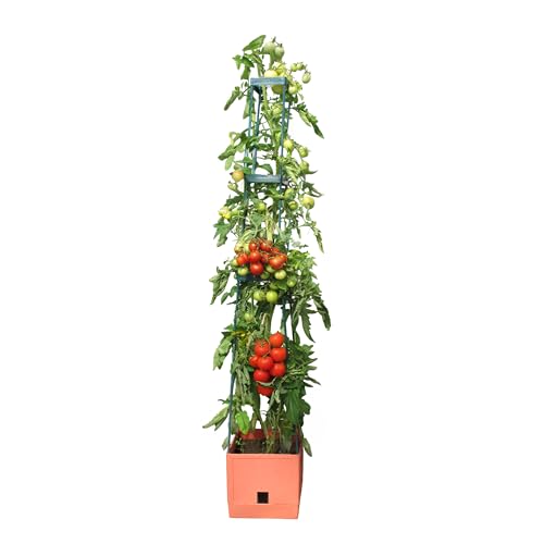 Bio Green Pflanzen-Aufzucht-Turm „Maxitom“ mit Rankhilfe und 2 Liter Wasserspeicher | 16 Liter Fassungsvermögen | 150 cm Höhe | Farbe: terracotta von Bio Green