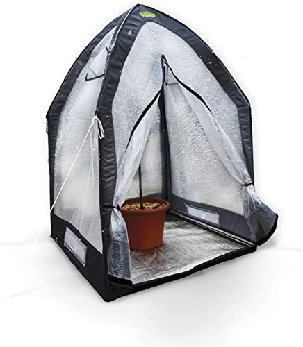 Bio Green Überwinterungszelt ICEDOME THERMOPLUS Deluxe | 3-lagige Luftpolsterfolie | Reflektorboden | Stabiler Metallrahmen | B 120 x T 120 x H 183 cm von Bio Green