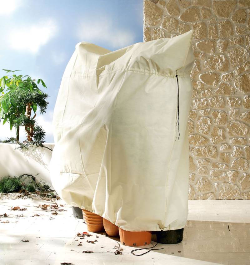 Bio Green Kübelpflanzensack Jumbo 240 x 200 cm von Bio Green