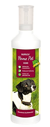 BioAktiv Home Pet Hund, 1er Pack (1 x 500 ml) von BioAktiv