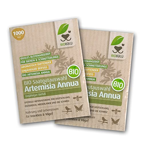 Artemisia Annua Saatgut in Bioqualität aus Demeter Anbau (2000 Korn) von Biobalu