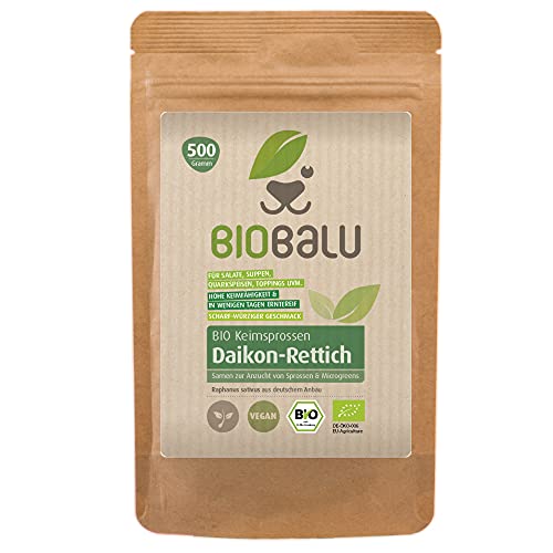 Bio Daikon-Rettich Keimsprossen Samen 500 g - Microgreens & Sprossen Saatgut - Zur Anzucht im Sprossenglas, in der Keimschale & im Sieb - Keimsaat (Daikon-Rettich) von Biobalu
