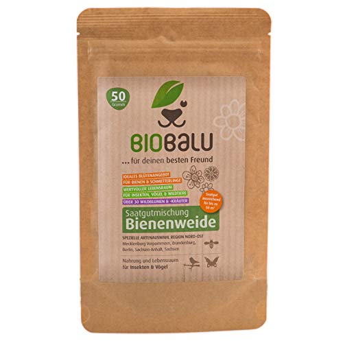 Biobalu Bienenweide - Blumenwiese Samen mehrjährig & winterhart, Samen - Über 40 heimische Blumen und Wildkräuter, spezielle Artenauswahl für den Nordosten 50g von Biobalu