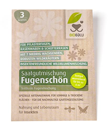 Biobalu Fugenschön - Trittfeste Fugenmischung für Pflasterfugen, Rasenwaben & Schotterrasen von Biobalu