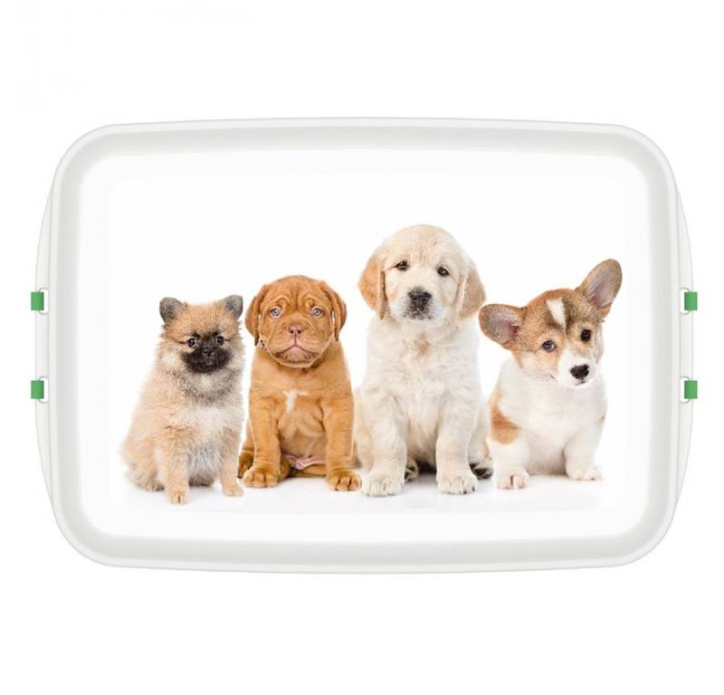 Biodora Lunchbox Lunchbox mit Druck Katze oder Hund Biodora Lunchbox Lunchbox mit Druck Katze oder Hund von Biodora