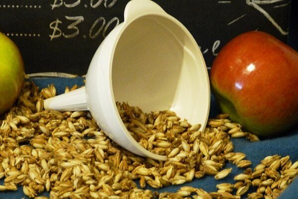 Biodora Veganer Trichter Biodora Veganer Trichter von Biodora