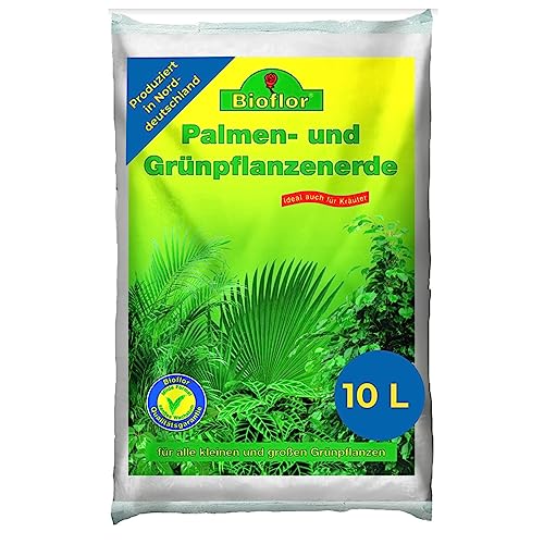 Bioflor Palmen & Grünpflanzenerde Premium 10 L I Blumenerde für gesunde Palmen & Grünpflanzen I speziell abgestimmte Erde für Palmen & Grünpflanzen I Garten- & Zimmerpflanzen-Erde von Bioflor