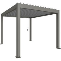 BIOHORT Pergola »Gr. 3x3,5«, BxHxT: 312  x 255  x  367,5  cm, silber-metallic - grau von Biohort