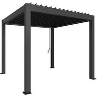BIOHORT Pergola »Gr. 3x3«, BxHxT: 312  x 255  x  312  cm, dunkelgrau-metallic BIOHORT Pergola »Gr. 3x3«, BxHxT: 312  x 255  x  312  cm, dunkelgrau-metallic von Biohort