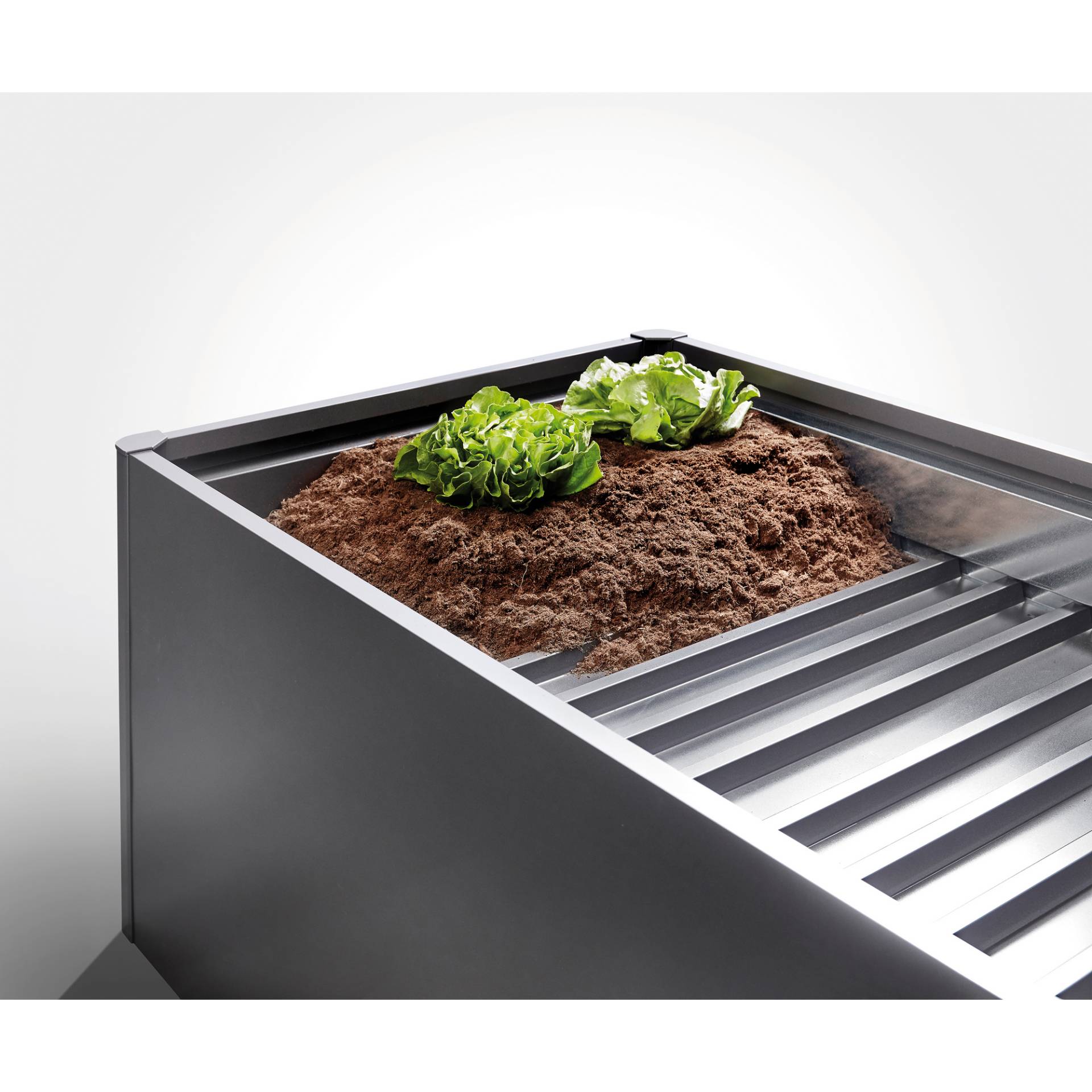 Biohort Zwischenboden dunkelgrau-metallic 200 x 50 x 3 cm, für Hochbeet Biohort Zwischenboden dunkelgrau-metallic 200 x 50 x 3 cm, für Hochbeet von Biohort