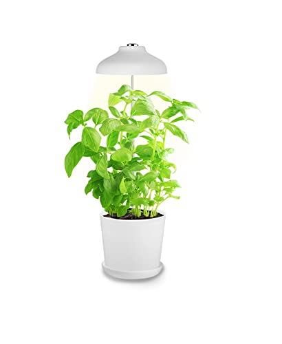 Bioledex GoLeaf TOP5 LED Pflanzenleuchte Vollspektrum 5W USB Pflanzenbeleuchtung von Bioledex