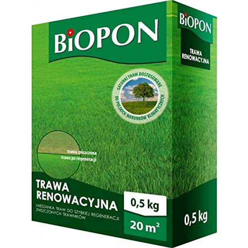 Biopon Grassamen für Rasenreparaturmischung 0,5 kg - Rasensamen Nachsaat Pflegeleicht - Effizientes Rasensaat für Renovierungn - 0,5 kg Samen für 20 m² Rasen von Biopon