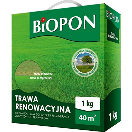 Biopon Grassamen für Rasenreparaturmischung 1 kg - Rasensamen Nachsaat Pflegeleicht - Effizientes Rasensaat für Renovierungn - 1 kg Samen für 40 m² Rasen von Biopon