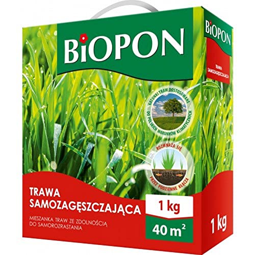 Biopon Rasensamen 1 kg für Vielseitigen Einsatz - Grassamen Resistent gegen Trampling - 1 kg Samen für 40 m² Rasen - Effizientes Rasensaat für Schönen Garten von Biopon