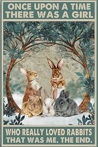 Bioprocess The Rabbits Once Upon A Time There Was A Girl Who Really Loved Rabbits It Was Me Vintage Look Blechschild Bar Cafe Vintage Metallschild Poster 20,3 x 30,5 cm von Bioprocess