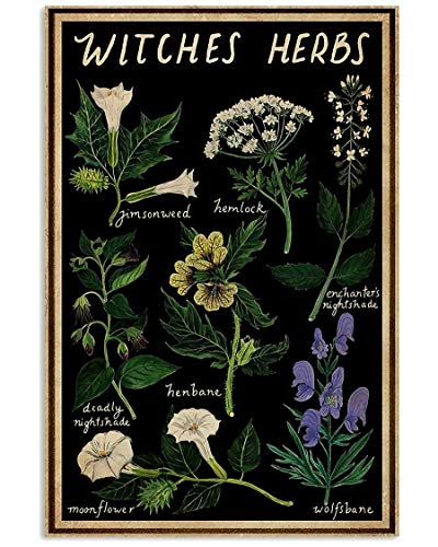 Black Witches Herbs,12 * 8 Inches Vintage Funny Poster Wall Decor Art Gift Retro Picture Metal Sign von Bioputty