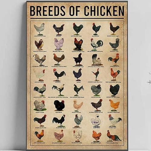 Breeds of Chicken Knowledge Lover,12 * 8 Inches Vintage Funny Poster Wall Decor Art Gift Retro Picture Metal Sign Breeds of Chicken Knowledge Lover,12 * 8 Inches Vintage Funny Poster Wall Decor Art Gift Retro Picture Metal Sign von Bioputty