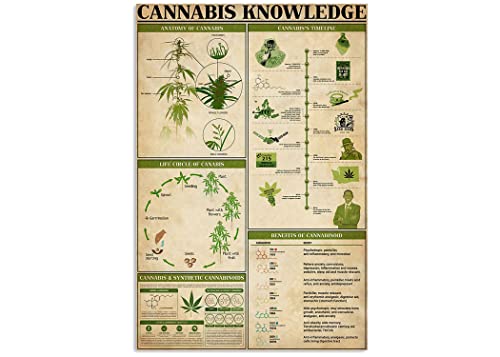 Cannabis Knowledge Room,12 * 8 Inches Vintage Funny Poster Wall Decor Art Gift Retro Picture Metal Sign Cannabis Knowledge Room,12 * 8 Inches Vintage Funny Poster Wall Decor Art Gift Retro Picture Metal Sign von Bioputty