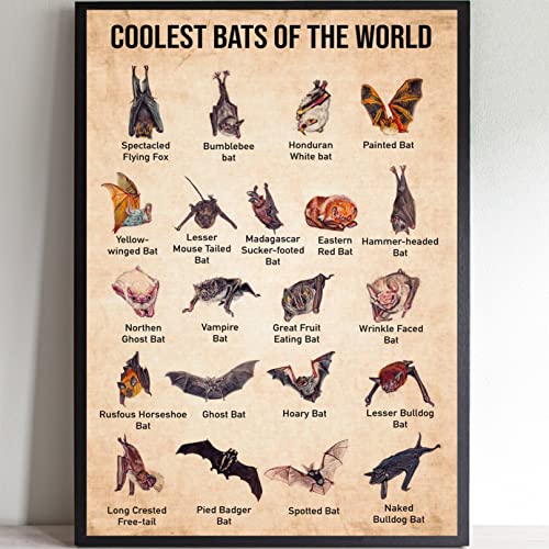Coolest Bats of The World Bat Science,12 * 8 Inches Vintage Funny Poster Wall Decor Art Gift Retro Picture Metal Sign von Bioputty