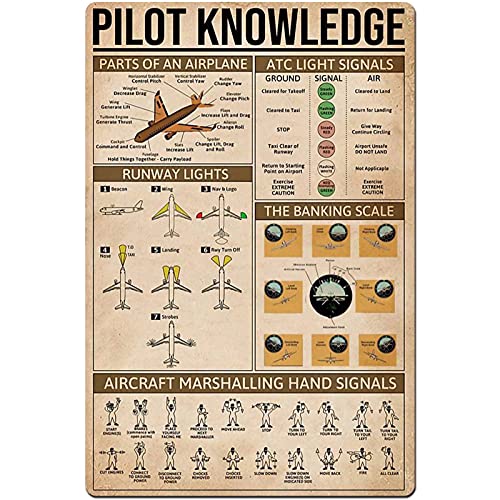 Lustiges Poster, Motiv: Pilotenwissen, 30,5 x 20,3 cm, Vintage-Poster, Wanddekoration, Kunst, Geschenk, Retro-Bild, Metallschild Lustiges Poster, Motiv: Pilotenwissen, 30,5 x 20,3 cm, Vintage-Poster, Wanddekoration, Kunst, Geschenk, Retro-Bild, Metallschild von Bioputty