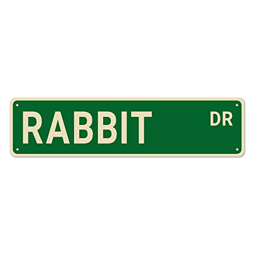 Rabbit Dr. Straßenschilder, Kaninchen-Dekor, Kaninchenschild, Geschenk für Kaninchenliebhaber, Wanddekoration für Zuhause/Einfahrt/Männerhöhle/Bar, hochwertige Metallschilder, 40,6 x 10,2 cm von Bioputty