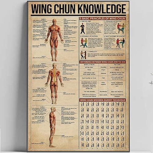 Wing Chun Knowledge,12 * 8 Inches Vintage Funny Poster Wall Decor Art Gift Retro Picture Metal Sign von Bioputty