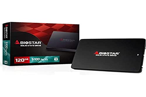 Biostar Disque Dur SSD S100 120Go S-ATA von Biostar