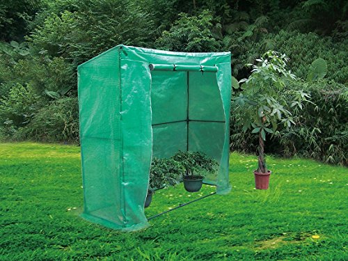 Biotop B2075 Gewächshaus Tomate, Pe 200 x 78 x 200 cm von Biotop