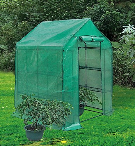 Biotop B2077 Gewächshaus Tomate, Pe robust, 143 x 143 x 195 cm von Biotop