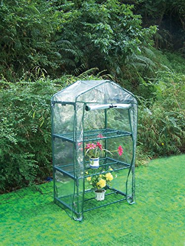 Biotop B2091 Gewächshaus, 3 Ablagen, 68 x 49 x 126 cm, Transparent von Biotop