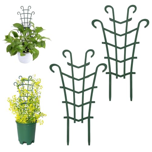 2 Stück Rankhilfe Zimmerpflanzen, Langlebig Korrosionsbeständig, Pflanzengitter, Wiederverwendbare Garten Pflanzenstütze, Pflanzengitter, Rankhilfe, Pflanzen Rankhilfe, für Indoor im Freien Plants von Bipl