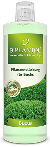 Biplantol Buxus, 250 ml von Biplantol