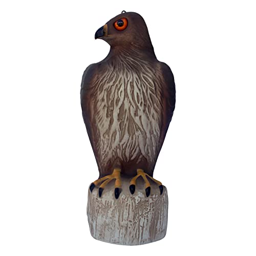 Bird B Gone MMRTH1 Hawk Decoy – Braun (6-teilig) von Bird B Gone