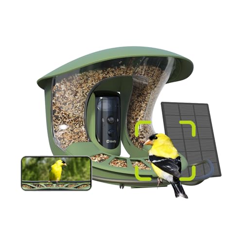 Birdfy 2 Pro Vogelfutterhaus mit 2K Dual Kamera, Live Vogelbeobachtung, KI Vogelerkennung ohne ABO, Kabellos Futterstation mit Zeitlupenvideo, Automatisch Verfolgung, Echzeit Benachrichtigung Birdfy 2 Pro Vogelfutterhaus mit 2K Dual Kamera, Live Vogelbeobachtung, KI Vogelerkennung ohne ABO, Kabellos Futterstation mit Zeitlupenvideo, Automatisch Verfolgung, Echzeit Benachrichtigung von Birdfy