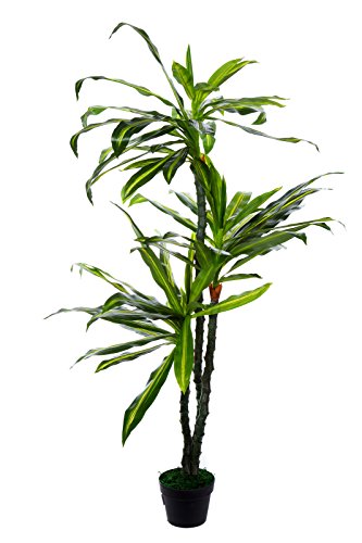 Sarah B XXL Dracaena Drachenbaum JWS2321 Riesiger künstlicher Baum 150cm hoch, künstliche-Pflanze Kunstbaum von Birendy