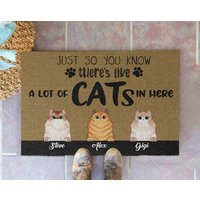 Nur Damit Sie Wissen, Dass Es Hier Wie Viele Katzen Gibt Personalisierte Fußmatte, Katze Benutzerdefinierte Dekorative Matte, Lustige Hunde Fußmatte von BirgitVStore