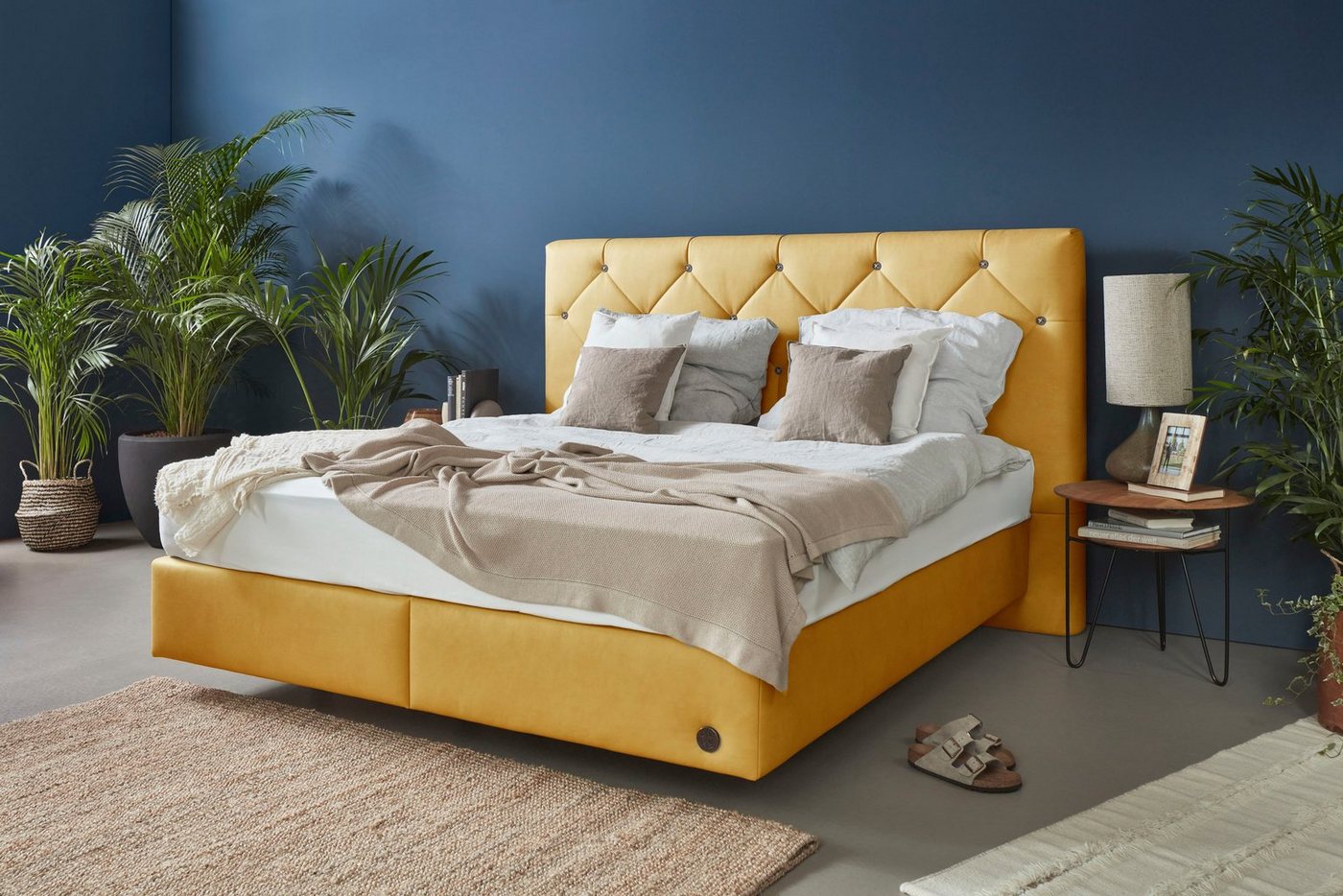 Birkenstock Boxspringbett Stalon Box, Kopfteil mit Dicklederknöpfen, in unterschiedlichen Ausführungen Birkenstock Boxspringbett Stalon Box, Kopfteil mit Dicklederknöpfen, in unterschiedlichen Ausführungen von Birkenstock