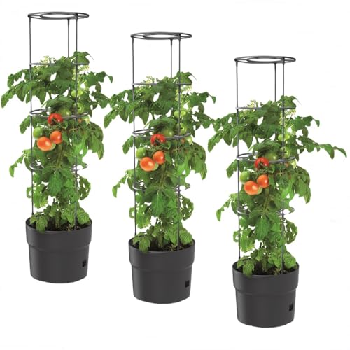 BirnePower 3X Tomatentopf Blumentopf Tomatenkübel 12L Topf für Tomatenpflanzen Tomatenzüchter mit Wasserspeicher Pflanzkübel mit Rankhilfe Rangitter Ø 30 cm H 115 cm von BirnePower