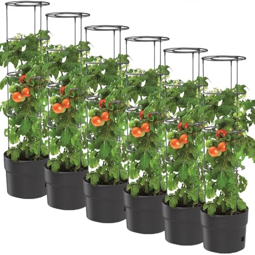 BirnePower 6X Tomatentopf Blumentopf Tomatenkübel 28L Topf für Tomatenpflanzen Tomatenzüchter mit Wasserspeicher Pflanzkübel mit Rankhilfe Rangitter Ø 40 cm H 153 cm von BirnePower