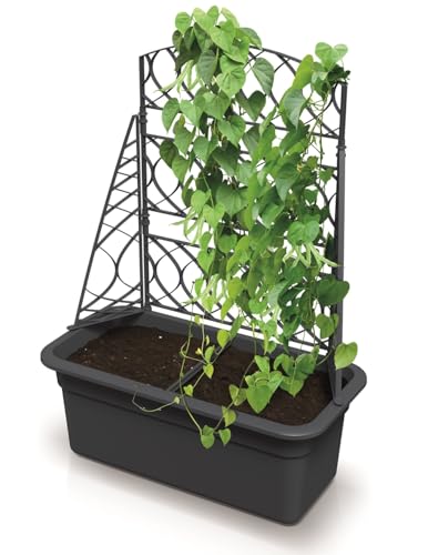 Blumenkasten Blumentopf Rankkasten Pflanzkübel Blumenkübel 58 cm mit Rankgitter Hochbeet mit Spalier Pergola Rankhilfe Höhe 80 cm Anthrazit von BirnePower